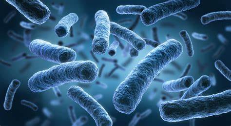 How to Identify a Risk of Legionella How to Identify a Risk of Legionella