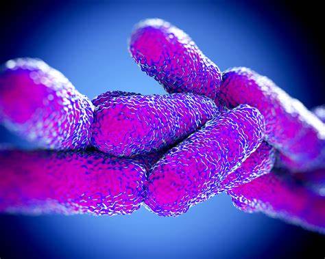 Legionella spreads through water