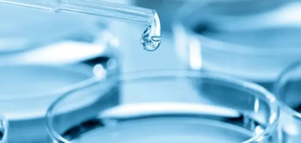 How Long Does A Legionella Certificate Last How Long Does A Legionella Certificate Last Image